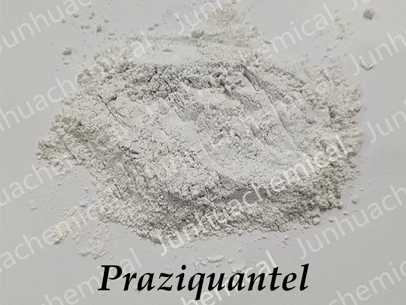 99% Purity Praziquantel CAS: 55268-74-1 Raw Powder, 100% Safe Customs Clearance